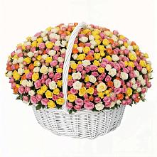 Премиум букет из: Розы #REPLACE_PRED# Даховской